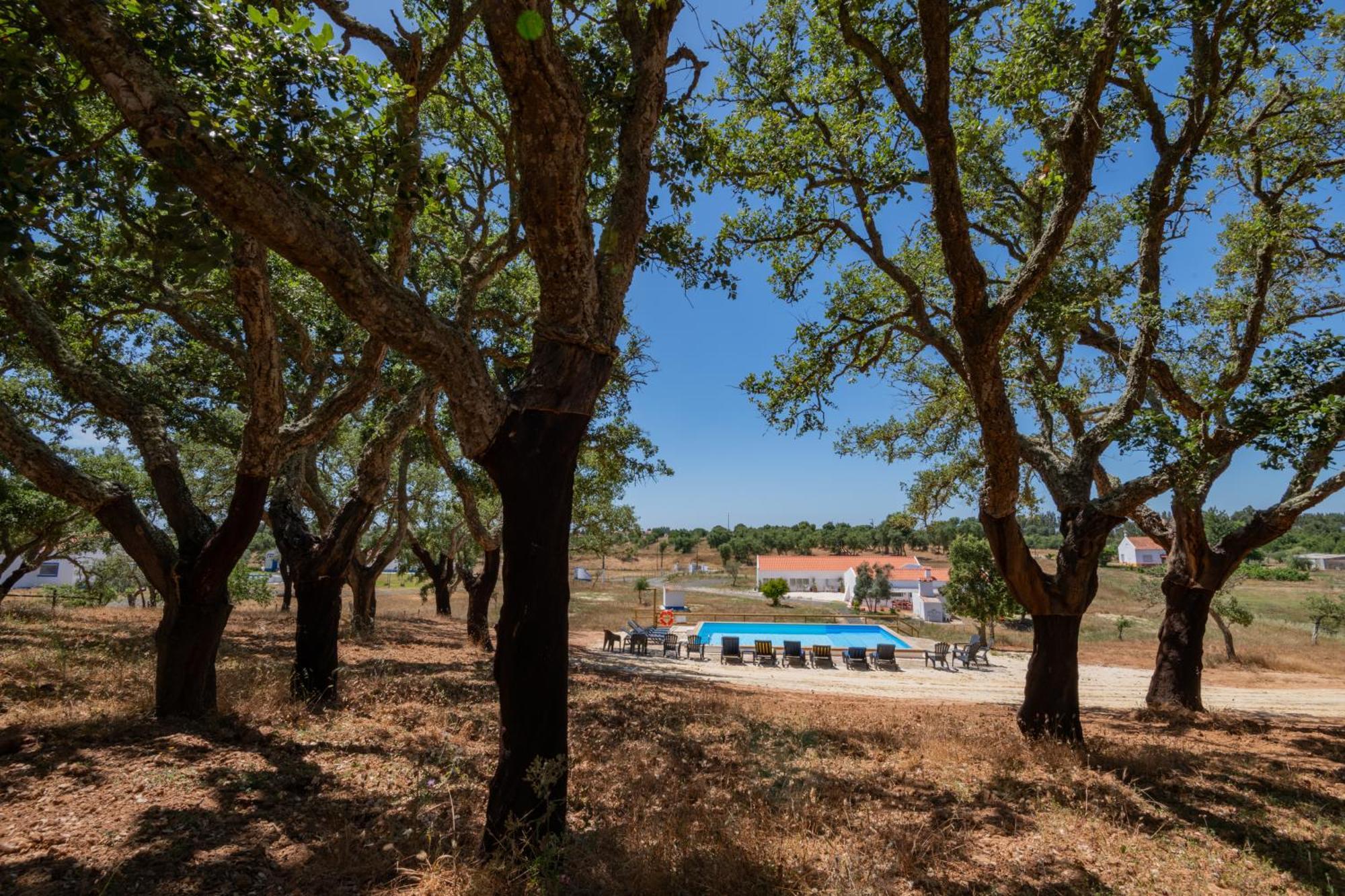Valle D'Agua - Casas De Campo Vale de Água Екстериор снимка